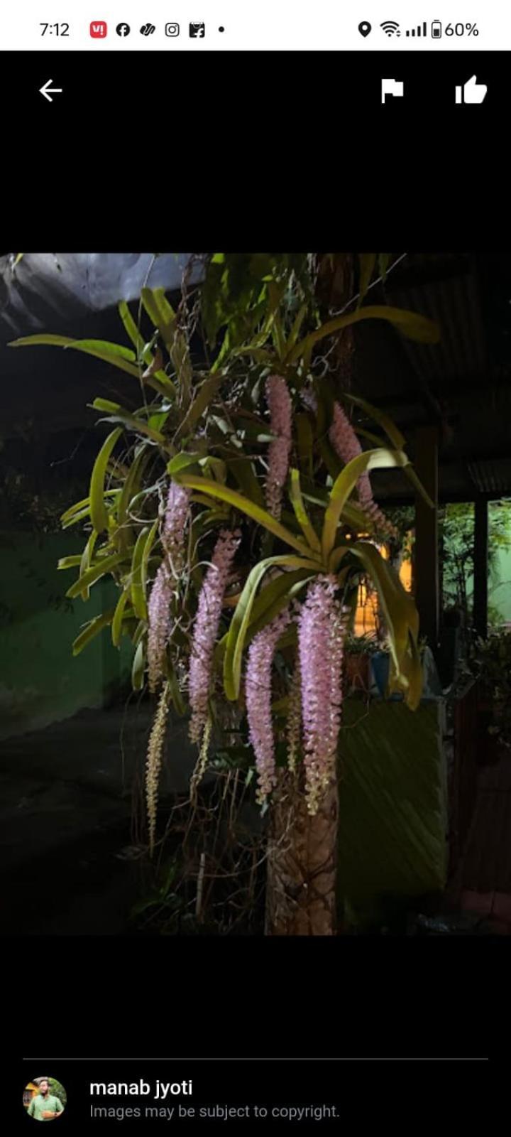 Orchid Park Homestay Sivasagar Exterior photo